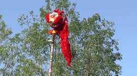 Chinese New Year celebrations in Chiang Mai, Thailand