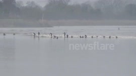 Largest Severn Bore of the Year: Time Lapse