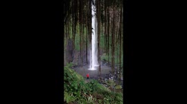 Beautiful Rainfall sounds