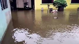 Homes submerged by flash floods in the Philippines
