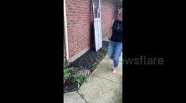 'Plant fanatic' has wholesome reaction when gifted extremely rare monstera