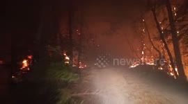 Shocking scene as driver passes through the CZU August Lightning Complex Fire in California
