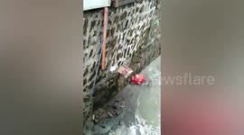 Filipino deliveryman rescues kitten from drain