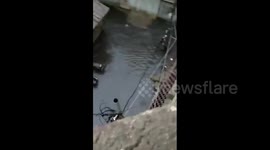 Pakistan: Devastating Monsoon Flooding Strikes Karachi