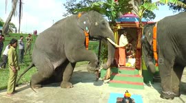 A fleet of elephants worshiped lord Ganesha in Southern India
