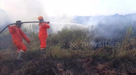 Forest and Land Fires Occur in South Sumatra