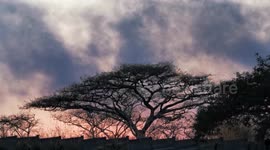 Fire in Pietermaritzburg industrial area 2