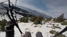 Speed-rider flies down Alpine mountainside just inches above treetops
