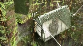 Forest officials rescue leopard from well using cage in western India
