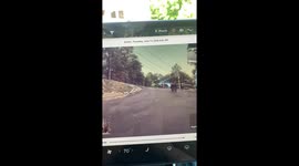 Bear close to kids at Great Smoky Mountain