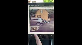 Bear close to kids at Great Smoky Mountain