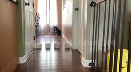 Toilet paper challenge fail