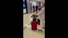 Doggo Excited When Met With Family
