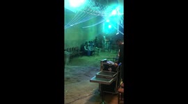 Dancing Horse In Giza, Egypt at a Local Wedding