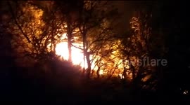 Tourists evacuated as wildfire burns through forest in southern Russia