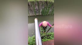 Woman climbs into canal to try to rescue stray dog