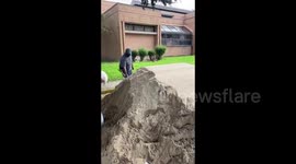 US: Louisiana Residents Fill Sandbags In Preparation For Marco And Laura