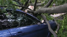 BMW crushed by tree during storm Francis in UK