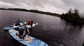 Paddle boarding fall