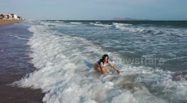 bay, waves and sand on a sunny day in a tourist destination in the gulf of california