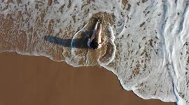 Mujer bañandose en la Playa de kino. bahia, olas y arena en un dia soleado en destino turistico del golfo de california.