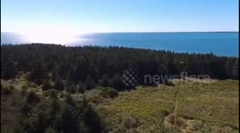 Drone footage of Lawrancetown Beach Nova Scotia