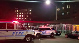 Multiple shots fired | POLICE ON SCENE