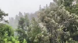 South Korea: Typhoon Bavi Approaches, Strong Winds Pick Up In Southern Jeju 2