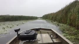 Storm Francis Reaches The Netherlands