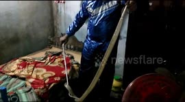 Snake rescuer finds cobra hiding underneath Indian resident's mattress