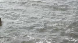 'Foolish' wild swimmers taking to the sea in dangerous conditions