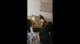 Epic dog fight!