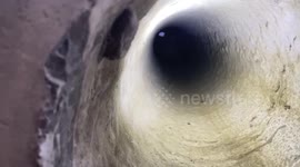 Chinese firefighters free six-year-old boy from cement pole after he gets stuck inside