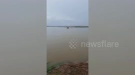 Firefighters rescue cattle and owner from flood-hit areas in eastern India