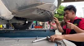 Newborn kittens rescued from car engine after driver hears them crying