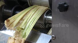 Freshly squeezed sugarcane juice sold on Bangkok streets for $0.60