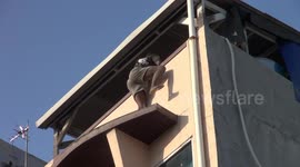 One citizen of origin from Nigeria was successfully evacuated by immigration officers while trying to jump from the top of the building to avoid raids on the completeness of residence documents in Indonesia.5