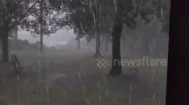 US: Tropical Storm Laura Moves Into Arkansas 2