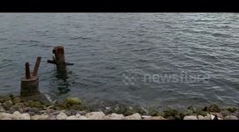 look at tha sea in Bahrain neer dolphin garden
