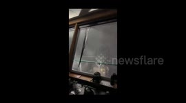 137 mph winds hurricane Laura