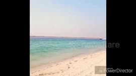 holiday with the family