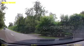 Dashcam - Car Accident