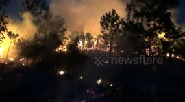 DRY PEAK, FOREST FIRE HAPPENED IN THE CITY CENTER