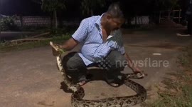 Nine-foot-python rescued from school in south-east India