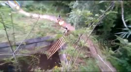 Indian forest officials use burning torches to ward off trapped bear during dramatic rescue