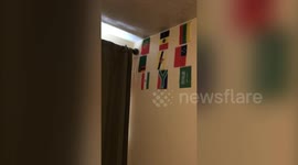 This clever six-year-old autistic boy can identify over 100 different world flags