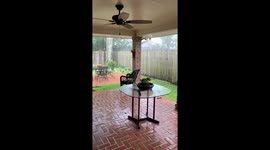 Hurricane Laura in Louisiana