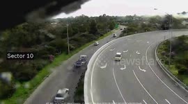 Wild parrot checks its reflection on motorway camera in Australia