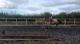 Tiny kid jumping big