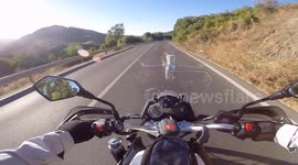 Pajaro se choca con moto
